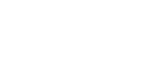 CAR AUCTION